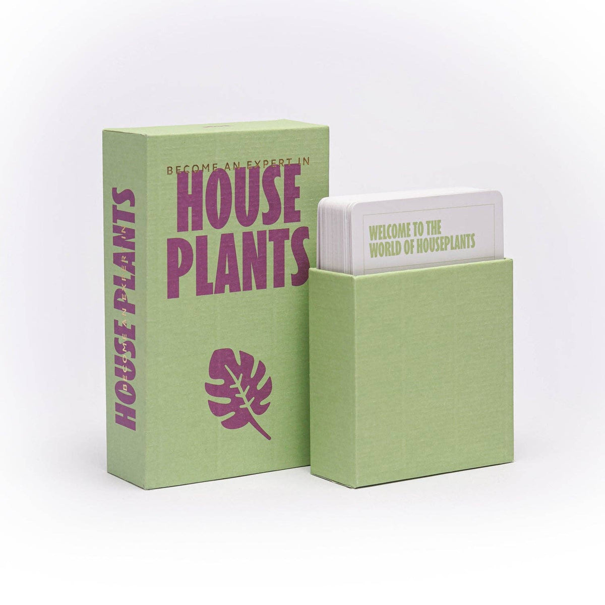 Become an Expert in House Plants - Indoor Plant Fact Gift