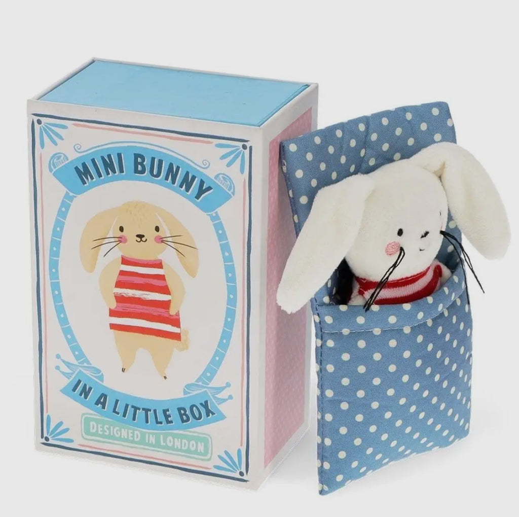 Mini Bunny in a little box