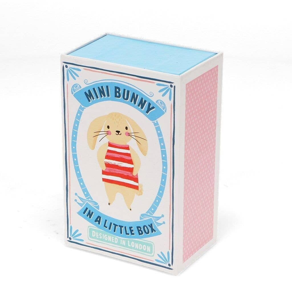 Mini Bunny in a little box