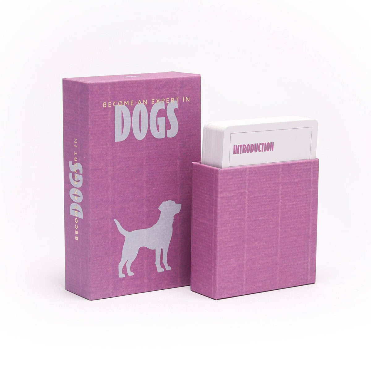 Become an Expert in Dogs - Dog Facts Slide Box Gift